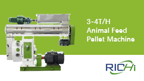 Video de prueba para peletizadora de alimentación de 3-4T/H