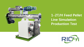 Prueba de producción de simulación de línea de pellets de alimentación 1-2T/H en RICHI Taller