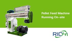 Máquina peletizadora para piensos, Maquinaria peletizadora para piensos, funcionando in situ