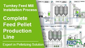 Línea completa de pellets de alimento para animales, proceso de instalación llave en mano del molino de alimentos