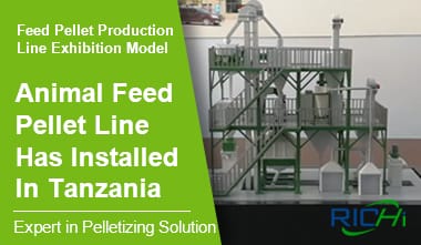 Línea de producción de pellets de alimento para animales en Tanzania, modo de exhibición completa de la línea de producción de pellets de alimento para animales