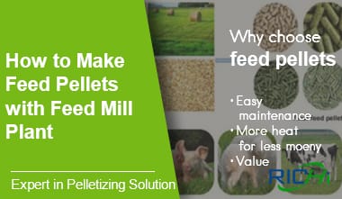 Cómo hacer pellets de alimento para animales con planta de molino de alimentos