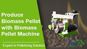 Cómo producir pellets de biomasa con peletizadora de biomasa