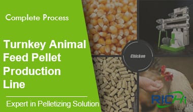 Línea de producción de pellets de alimento para aves llave en mano
