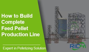 Cómo construir una línea completa de producción de pellets de alimento para animales