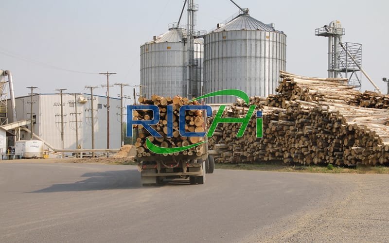 Proyecto de planta de fabricación de pellets de residuos de madera forestal de cáscara de naranja de alto rendimiento de 4tph en China