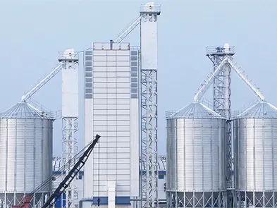 Línea de producción de pellets para piensos para animales