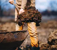 materiales de estiércol animal