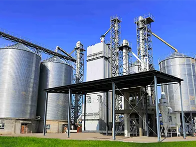 Línea de producción de pellets para piensos acuáticos