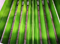 Puerto de descarga del enfriador de pellets