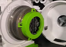 Cámara de peletización de la máquina de pellets de biomasa