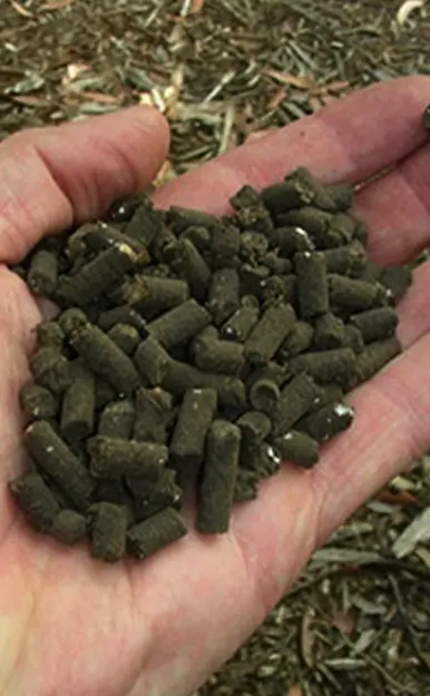 gránulos de fertilizante orgánico