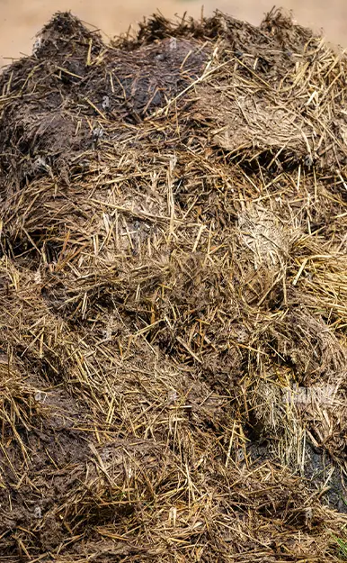 Materias primas para fertilizantes orgánicos