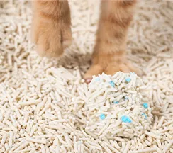 bolitas de arena para gatos