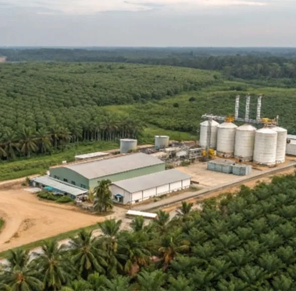 Planta de pellets efb