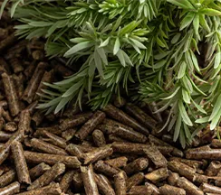 calidad de los pellets