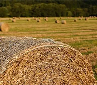 Materiales de césped