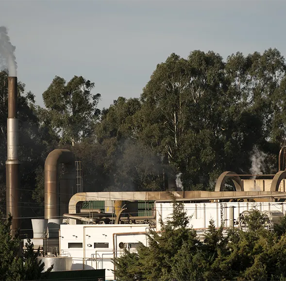 Línea de producción de pellets de hierba