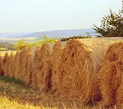 materias primas de pellets