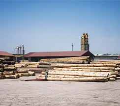 producción de pellets