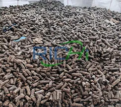 Perdigones RDF finales