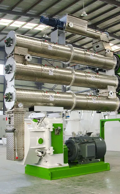 Máquina de pellets de alimento para rumiantes de 40 t/h