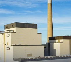 producción de pellets