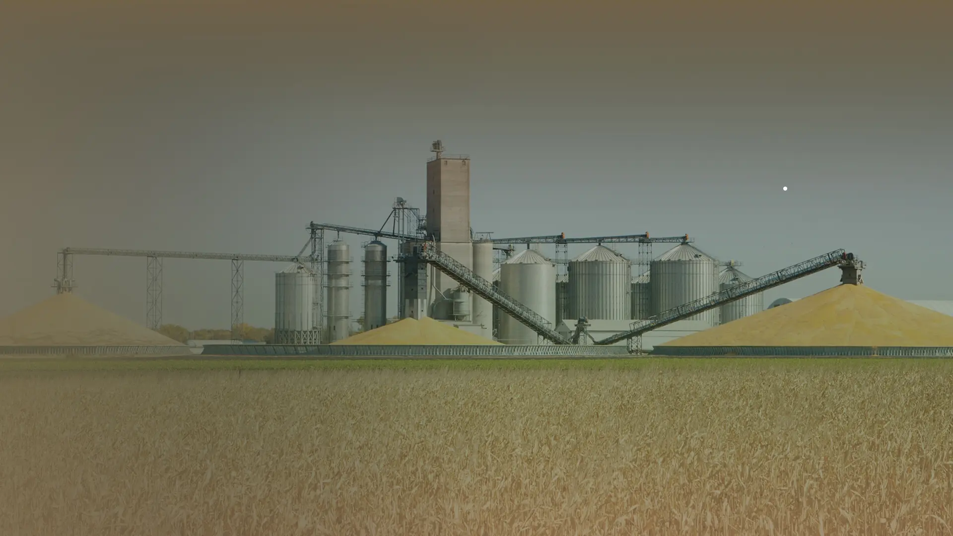 Planta de molino de piensos