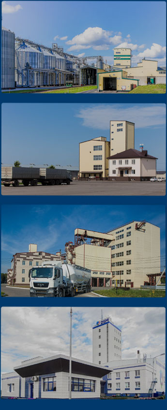 Caso de fábrica de piensos en todo el mundo