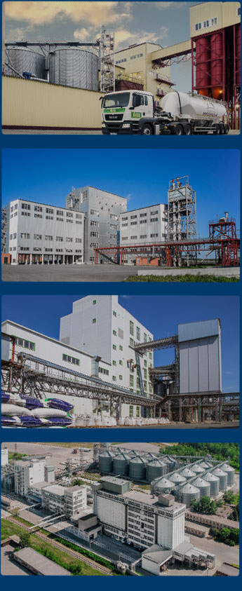 Caso de fábrica de piensos en todo el mundo