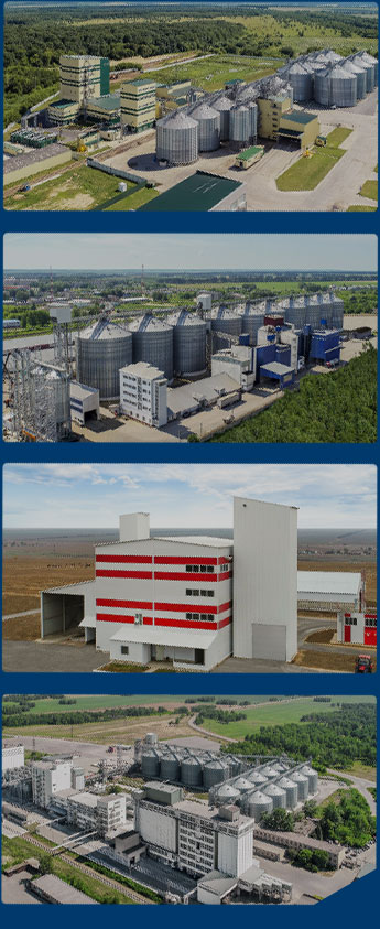 Caso de fábrica de piensos en todo el mundo