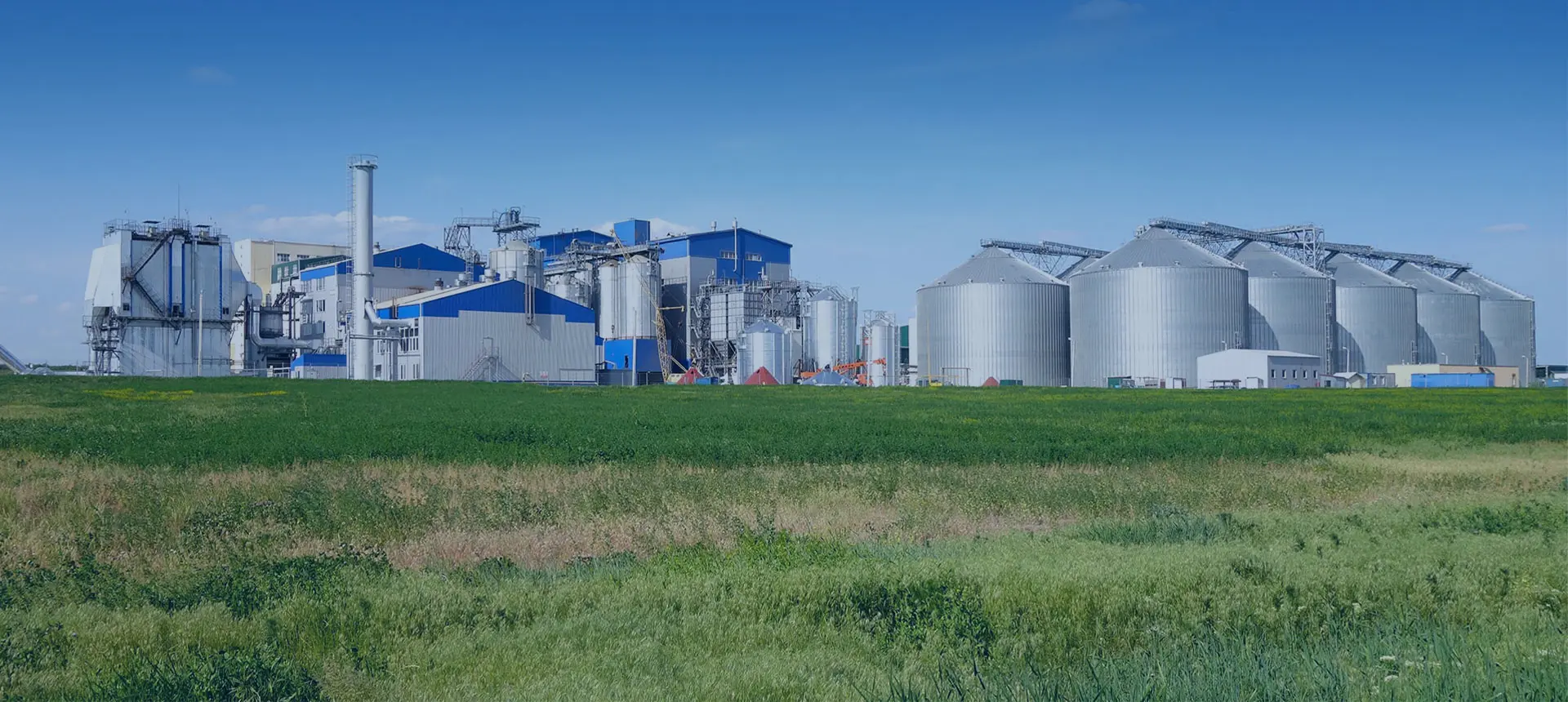 Proyecto de planta multifuncional de alimentación animal para aves de corral en China con una capacidad de producción de 80 toneladas por hora