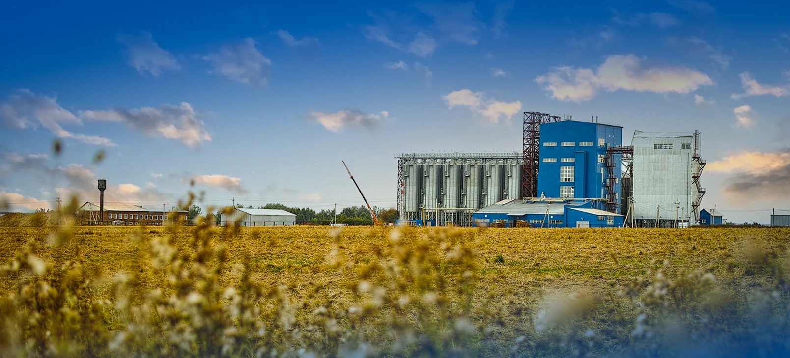 Línea de producción de pellets de alimentación animal