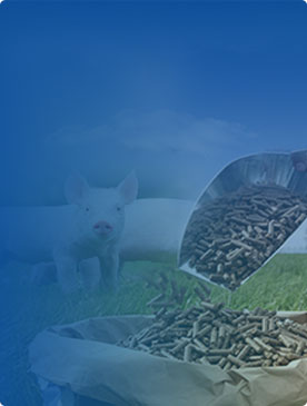 producción de pellets de alimentación animal