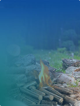 Producción de pellets de biomasa