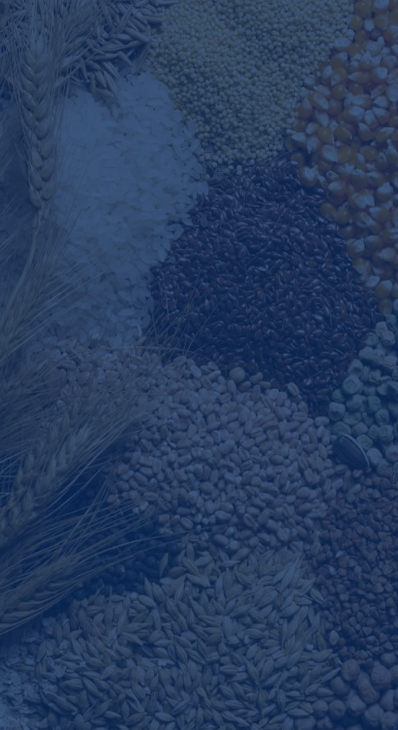 EQUIPOS DE PROCESAMIENTO DE MATERIAS PRIMAS