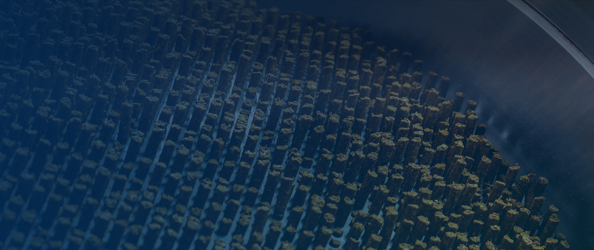 pellets de alimentación animal