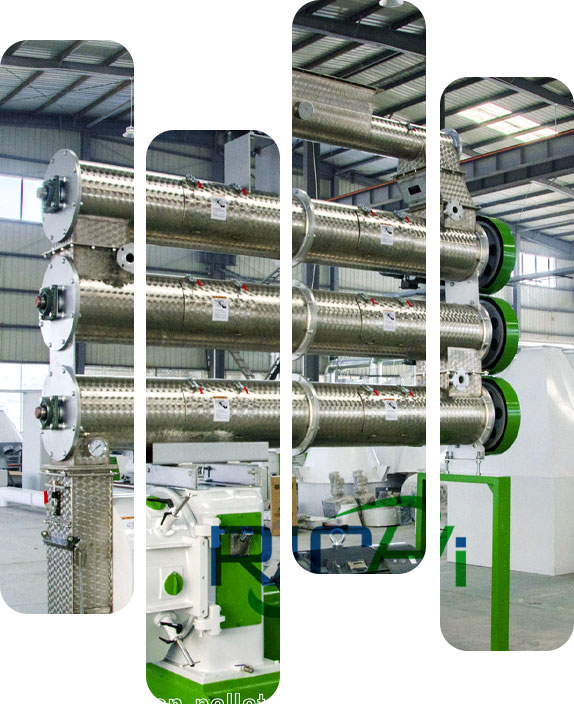 richi peletizadora para piensos