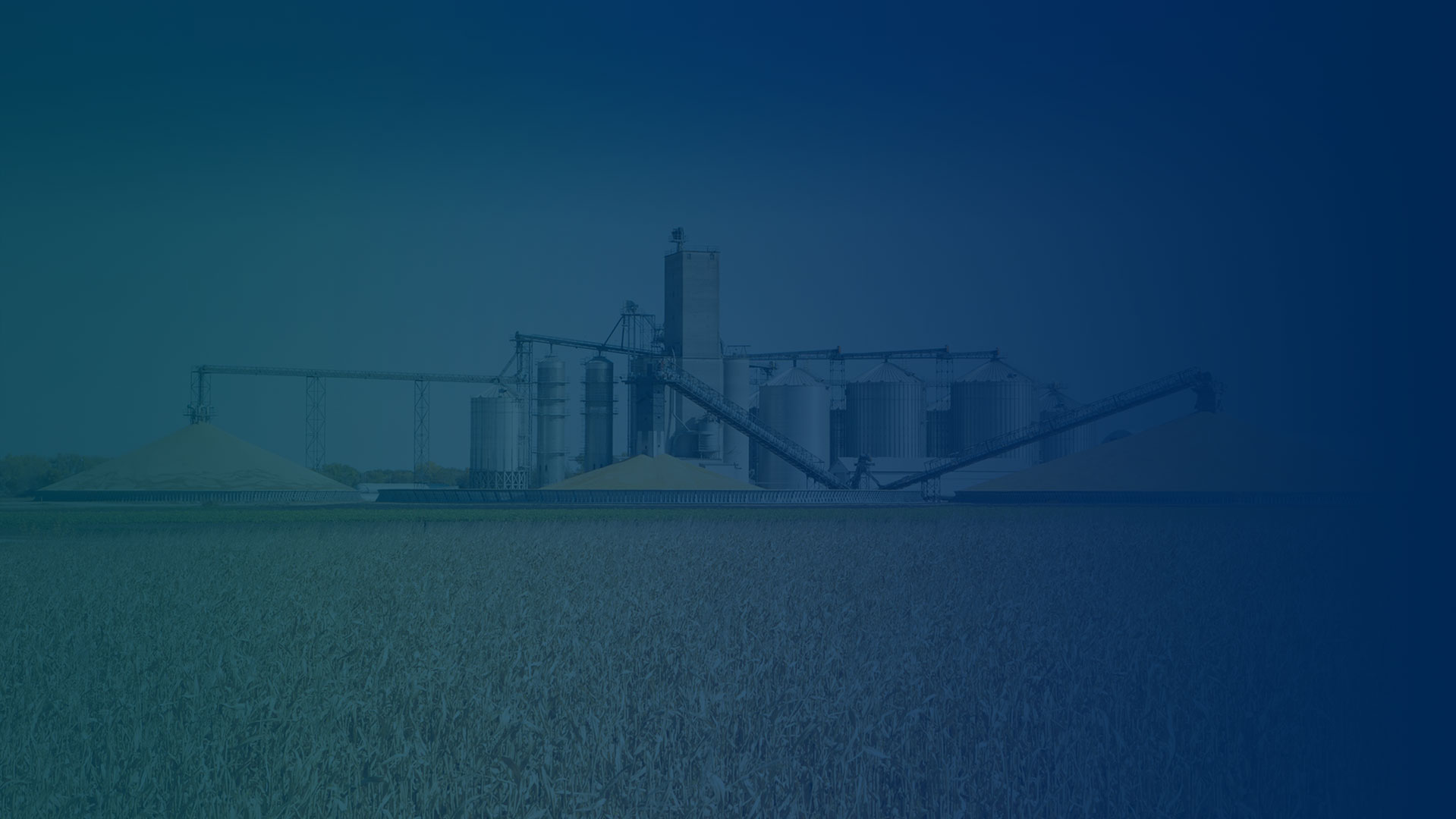 línea de producción de pellets de alimentación animal