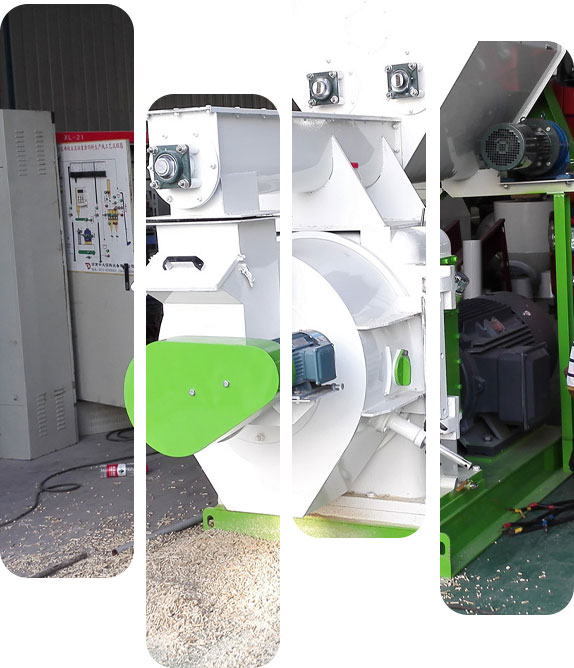 richi peletizadora de biomasa