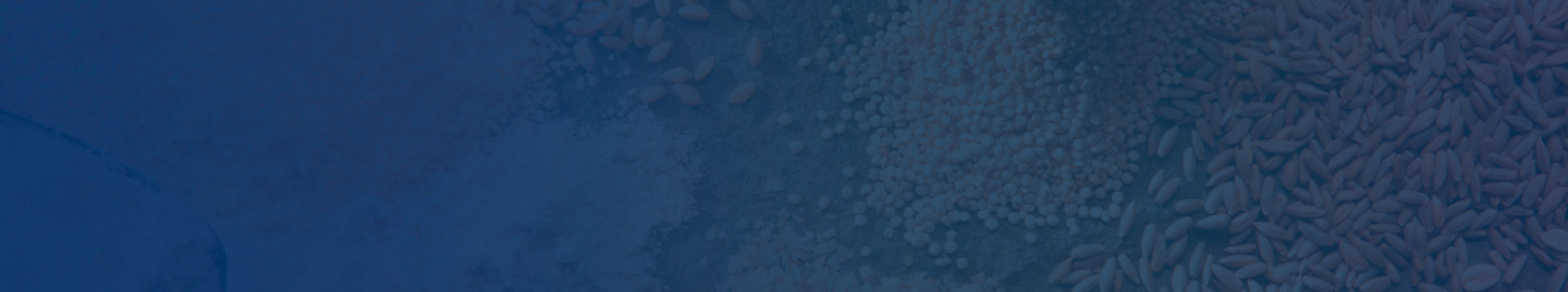 Materias primas para peletización