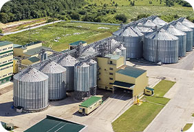 Línea de producción de alimentos para animales