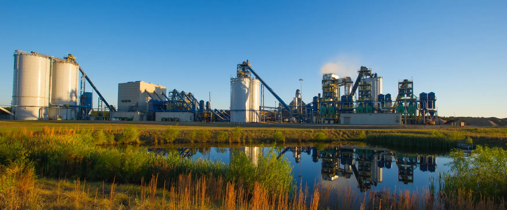 Molinos de pellets de biomasa