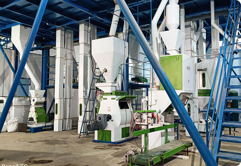 Instalación de línea de producción de alimentos para animales