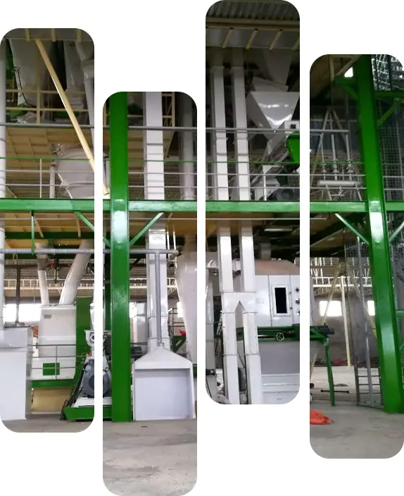 línea de producción de pellets de alimentación