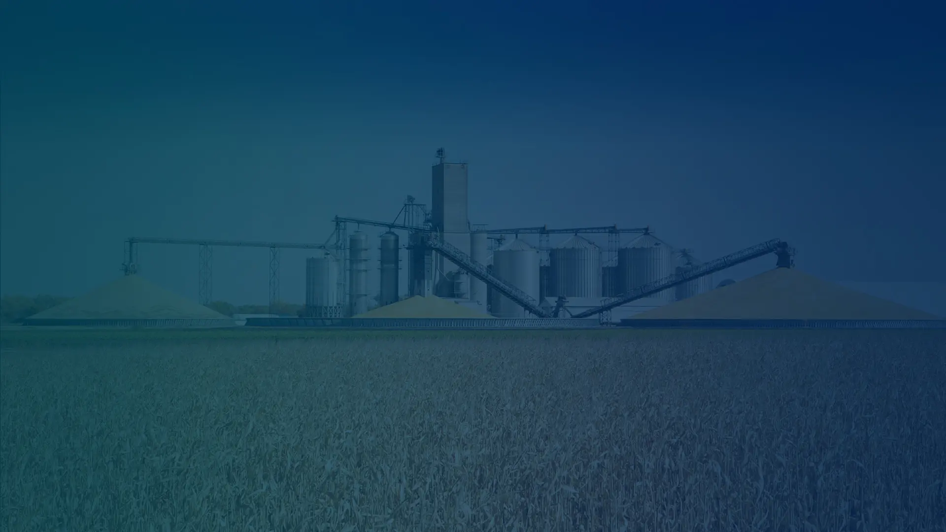 Soluciones completas para la producción de pellets