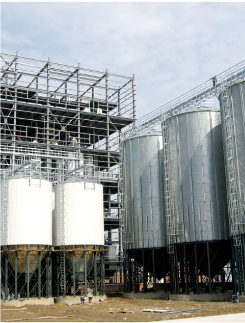 Línea de producción de alimentos para camarones y carbohidratos