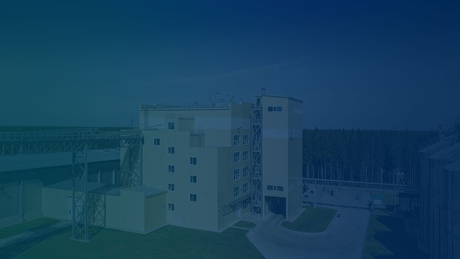 Línea completa de producción de pellets de alimento para animales