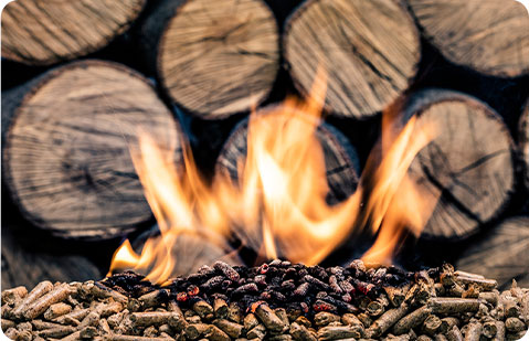 línea de pellets de biomasa