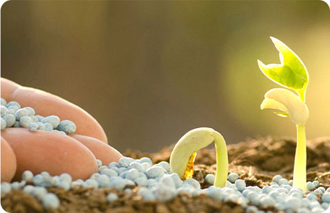 Línea de pellets de biomasa